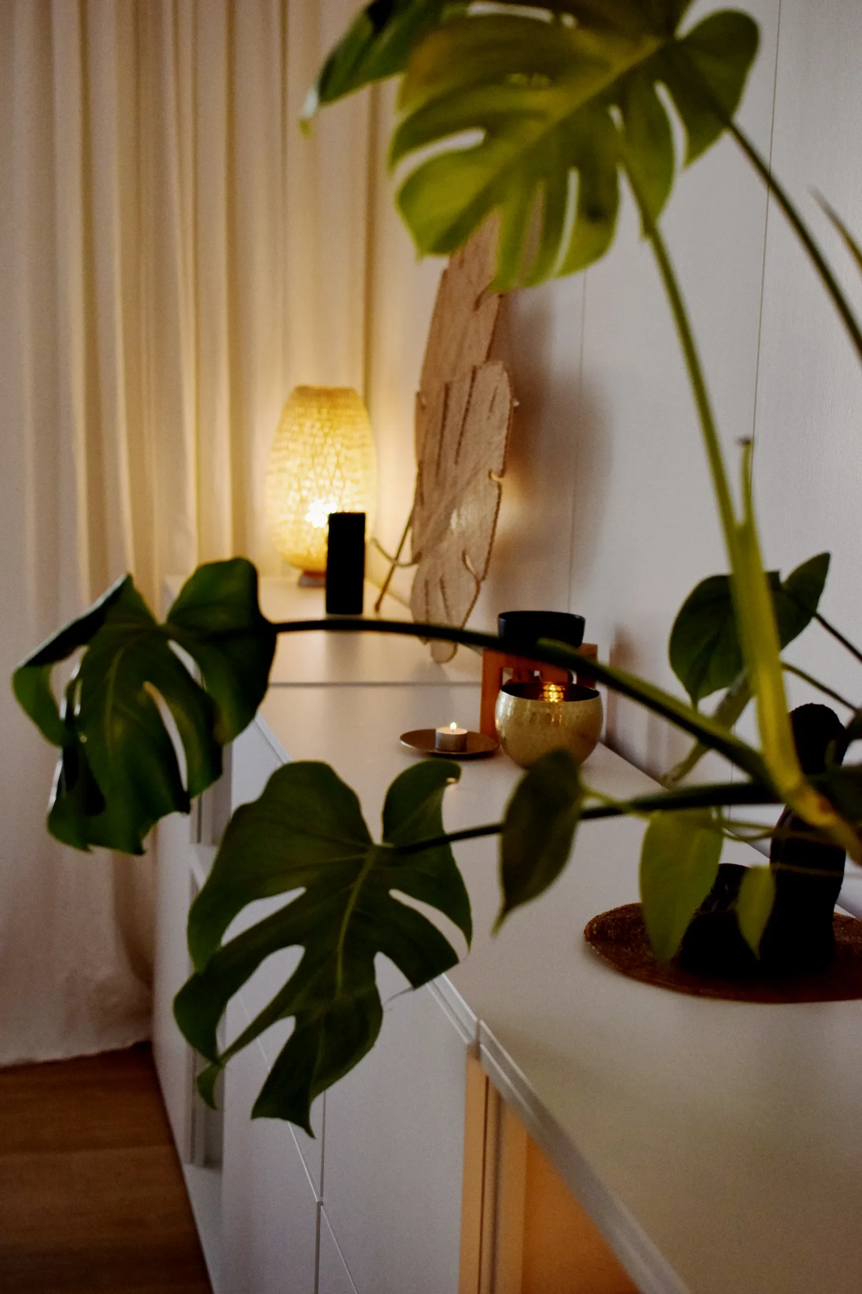 Passion-Fruits_4.webp