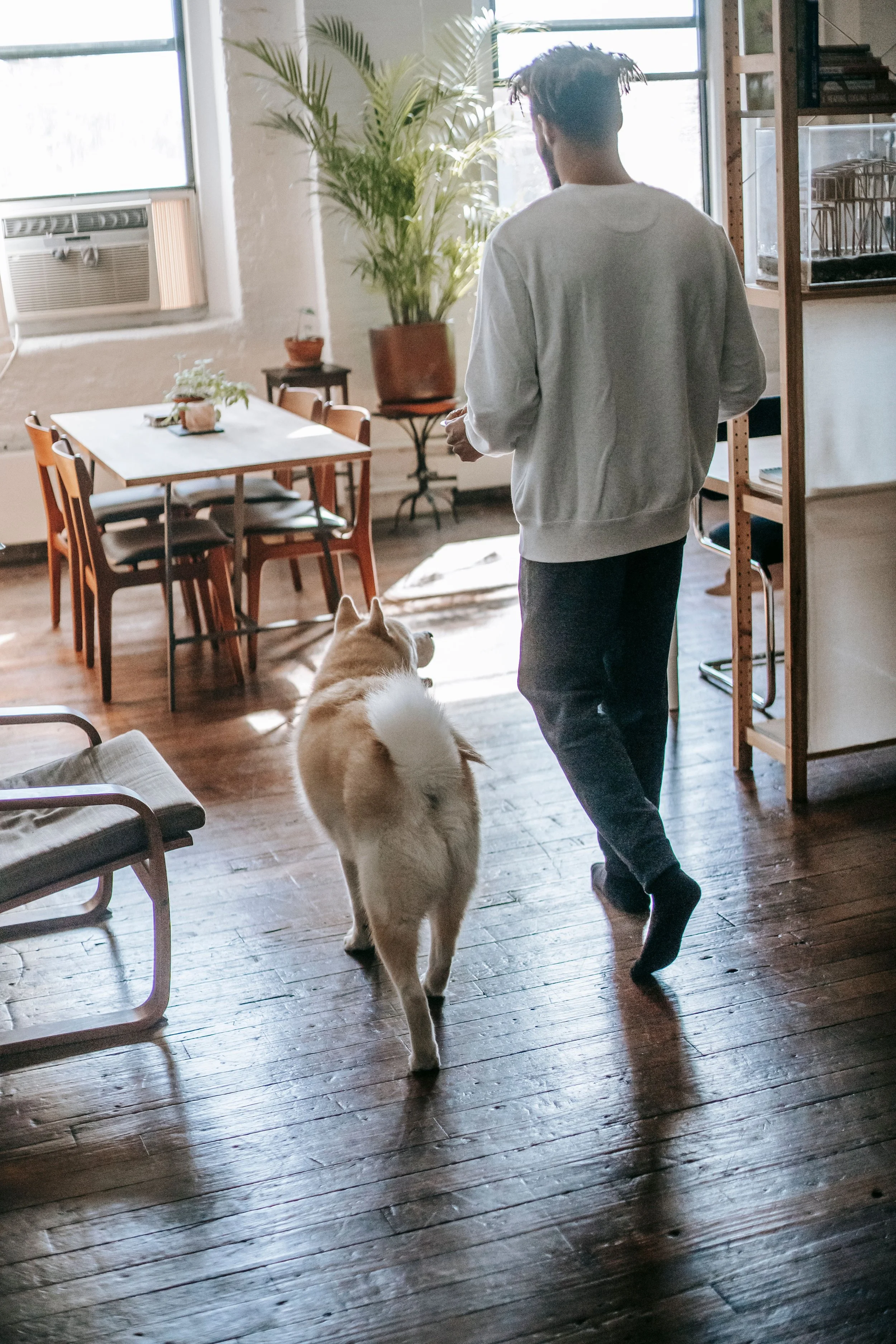 Mon chien me suit partout : surdépendance affective ou hyperattachement ?
