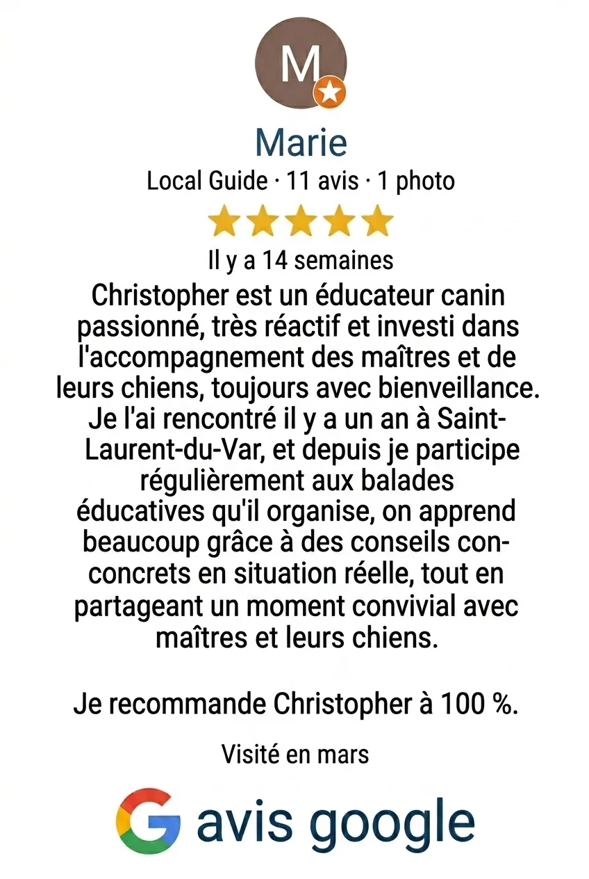 Avis Google pour Marie, un guide local, avec une note de 5 étoiles, recommandation à 100 %, mentionnant son expertise en éducation canine et ses balades éducatives organisées pour les maîtres et leurs chiens.