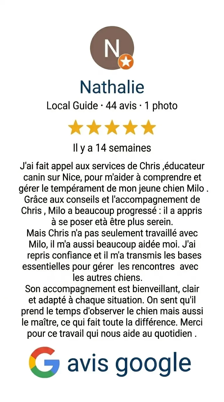 Capture d'écran d'une fiche de recommandation sur Google Avis, présentant un avis positif de Nathalie sur un service d'éducation canine pour son chiot Milo, avec une note de 5 étoiles et un logo Google en bas.