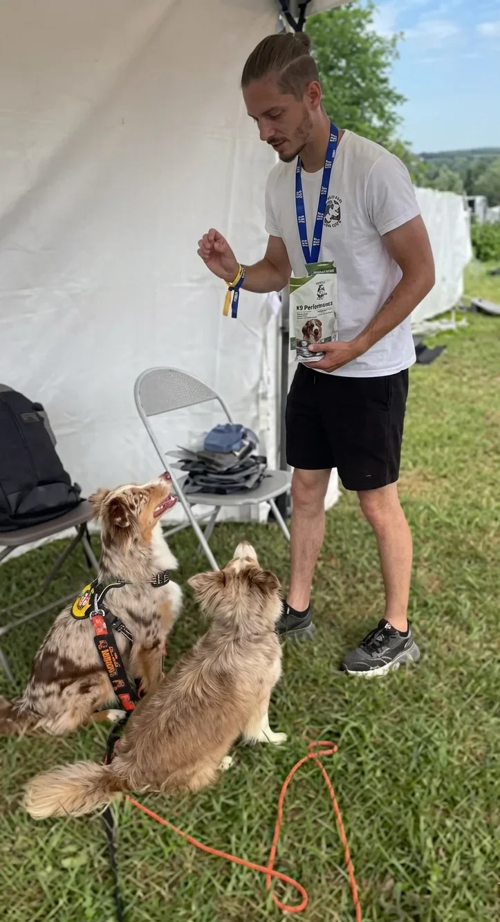 séance d'éducation canine et de comportementalisme canin à Cannes