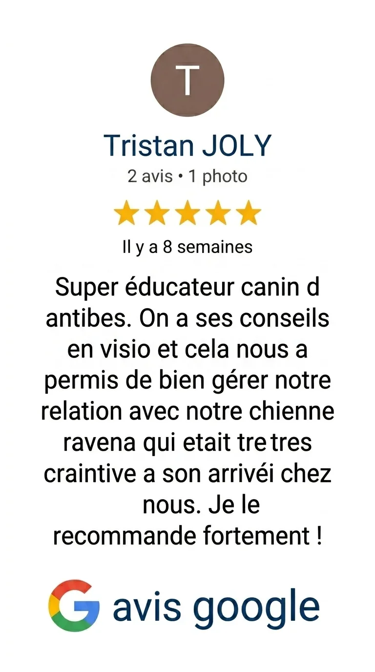Avis Google pour Tristan JOLY, 5 étoiles, critique positive sur ses conseils pour éduquer un chien de race raven, mentionnant ses conseils en visio et ses résultats avec leur chien.