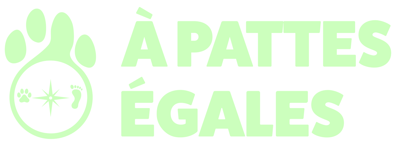 À pattes égales - Éducateur &amp; Comportementaliste canin