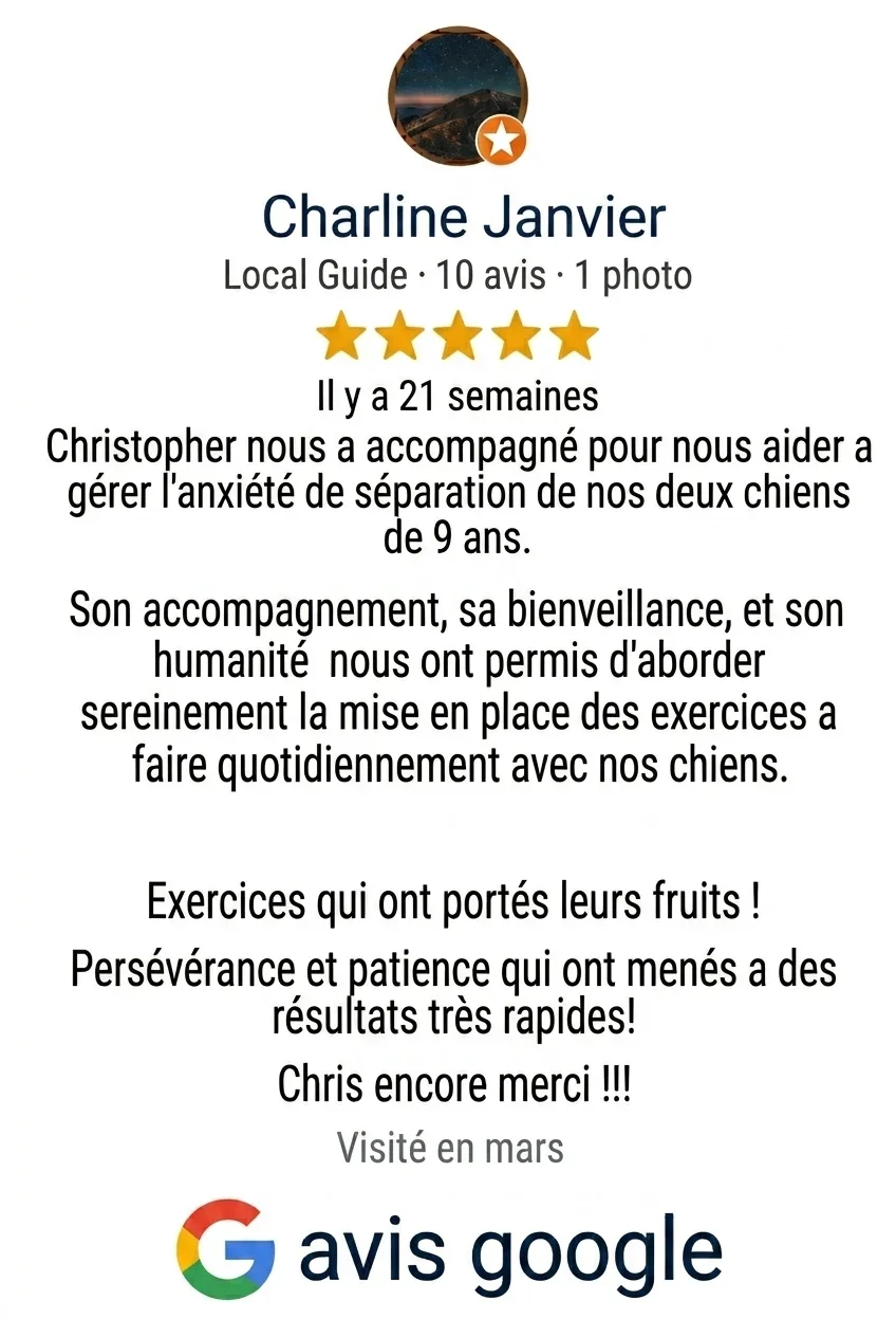 Avis Google pour Charline Janvier, une guide locale, avec une note de 5 étoiles, mentionnant un accompagnement pour aider à gérer l'anxiété de séparation de deux chiens de 9 ans, avec un commentaire sur la bienveillance et la patience lors des exercices quotidiens.