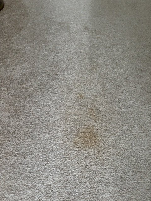 Close-up of a beige carpet with visible stains and discoloration.