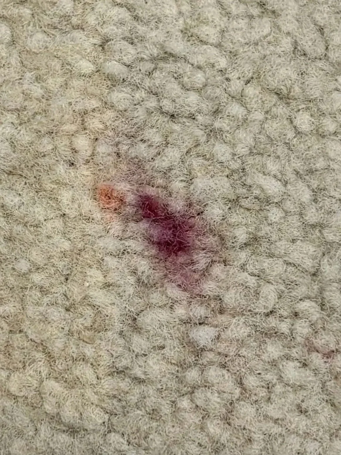 Targeted professional carpet stain removal treatment on a tough red wine spill in South West London and Surrey.