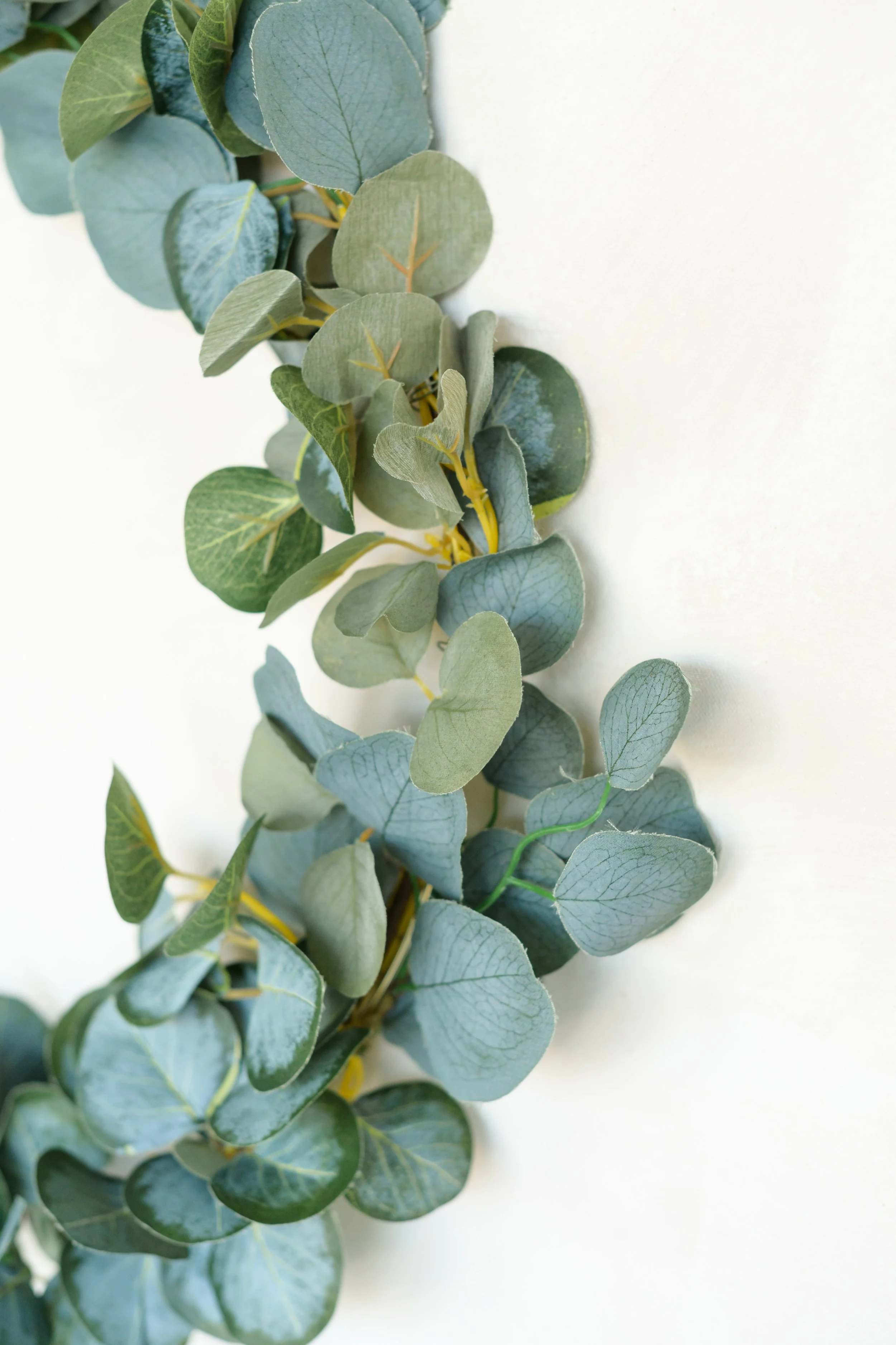 GALLERY - 2026-04-13 The Wreath Edit Brand Session-378.jpg