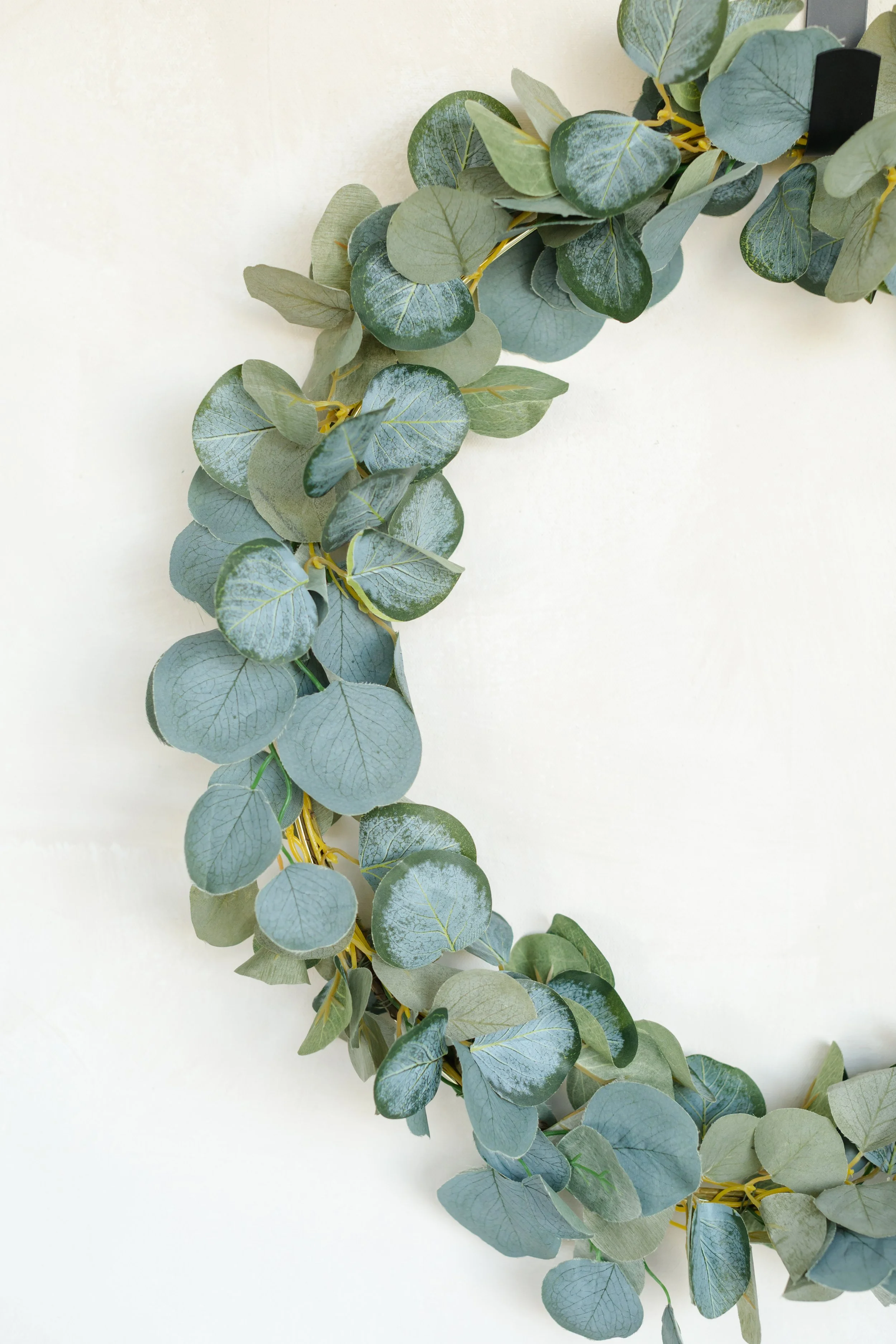 GALLERY - 2026-04-13 The Wreath Edit Brand Session-375.jpg