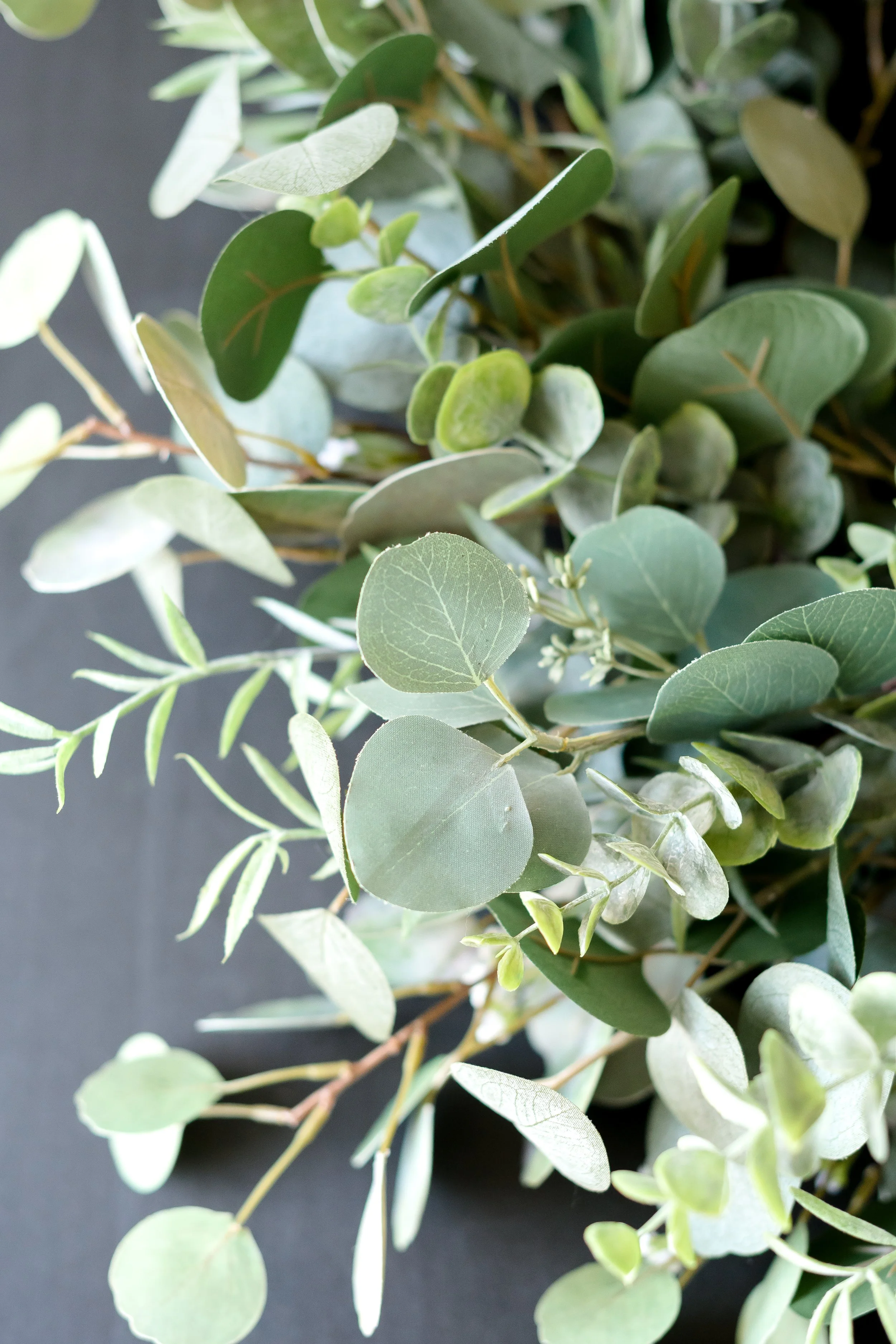 GALLERY - 2026-04-13 The Wreath Edit Brand Session-828.jpg