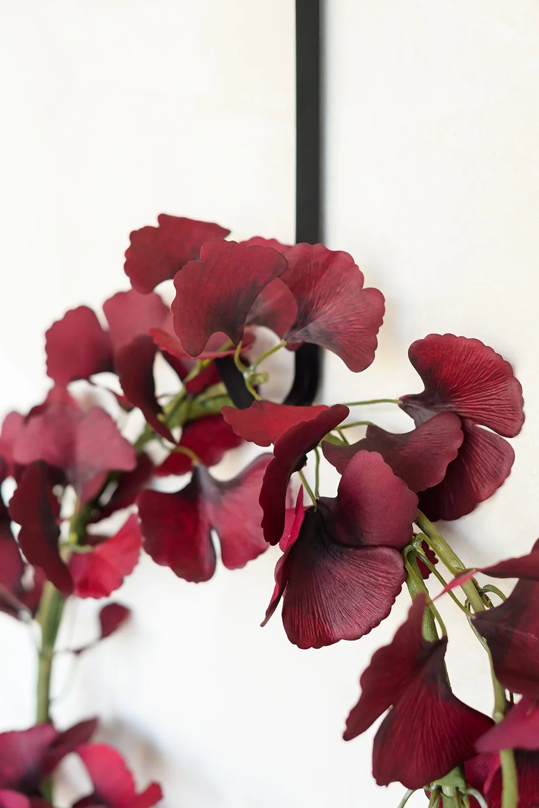 GALLERY - 2026-04-13 The Wreath Edit Brand Session-329.jpg