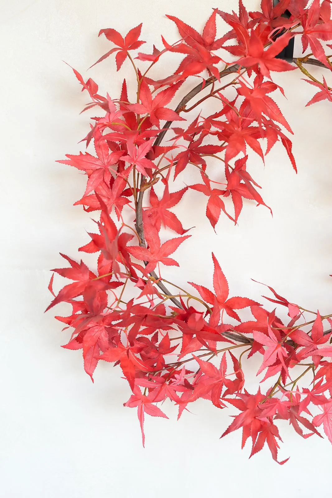 GALLERY - 2026-04-13 The Wreath Edit Brand Session-333.jpg