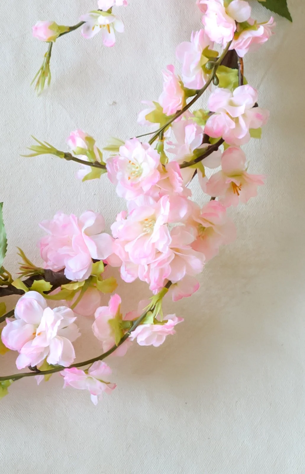 GALLERY - 2026-04-13 The Wreath Edit Brand Session-713.jpg