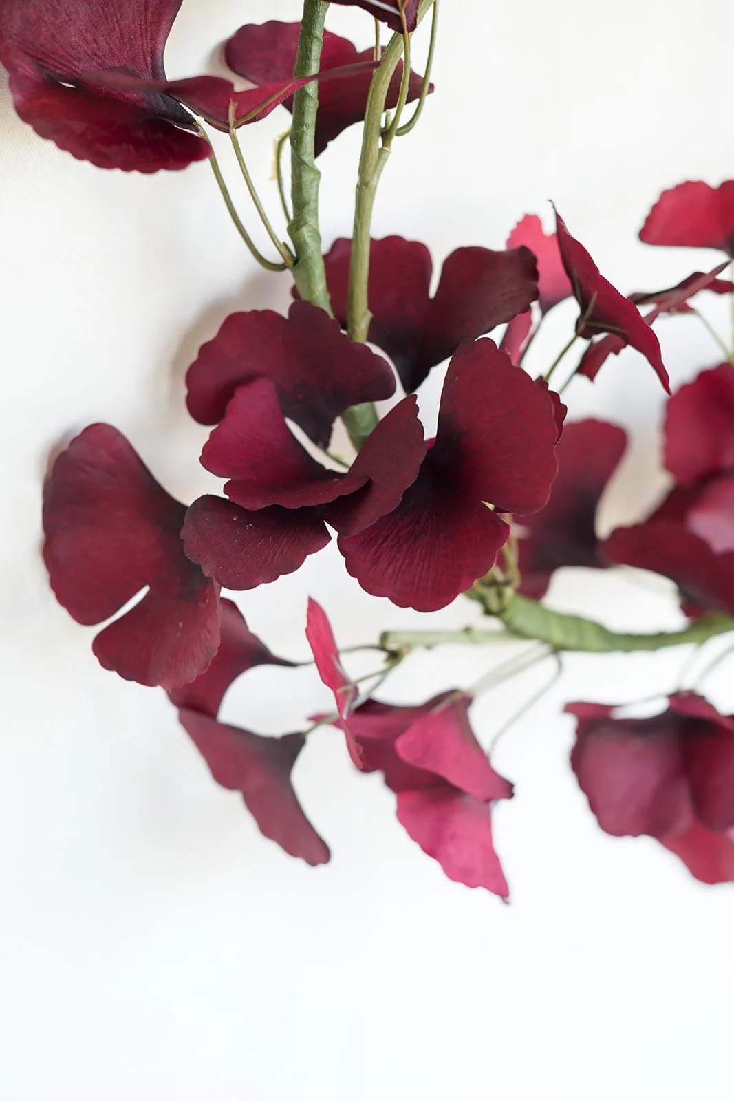 GALLERY - 2026-04-13 The Wreath Edit Brand Session-326.jpg