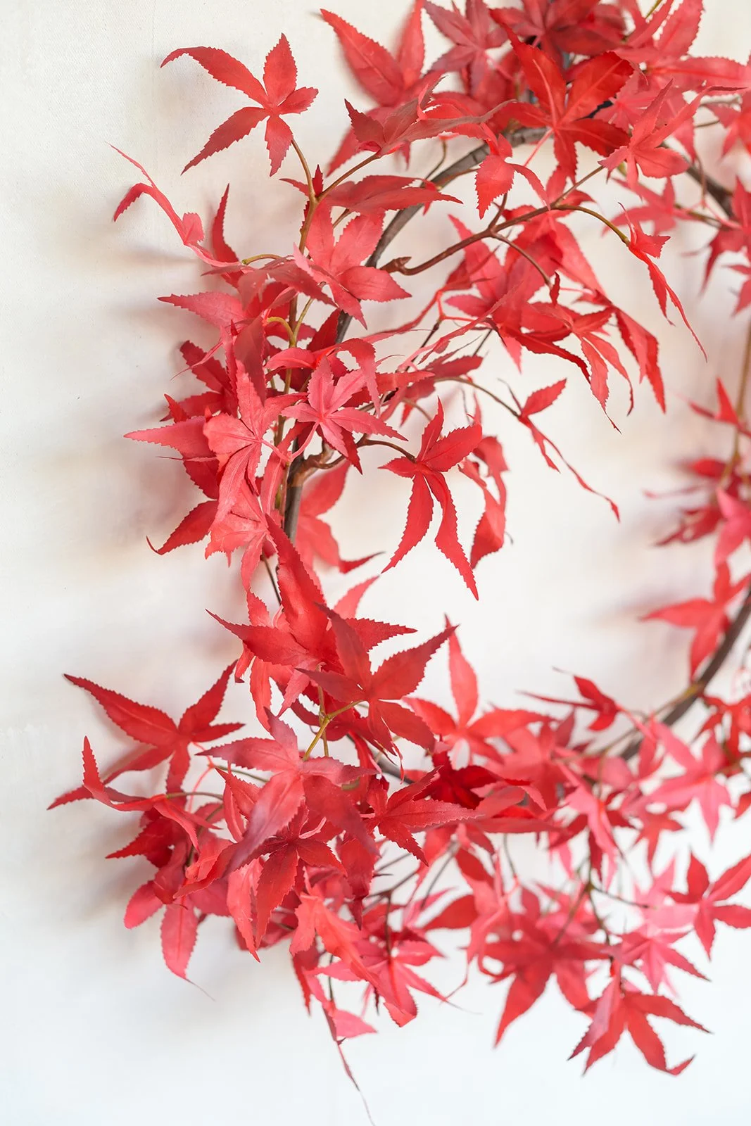 GALLERY - 2026-04-13 The Wreath Edit Brand Session-336.jpg
