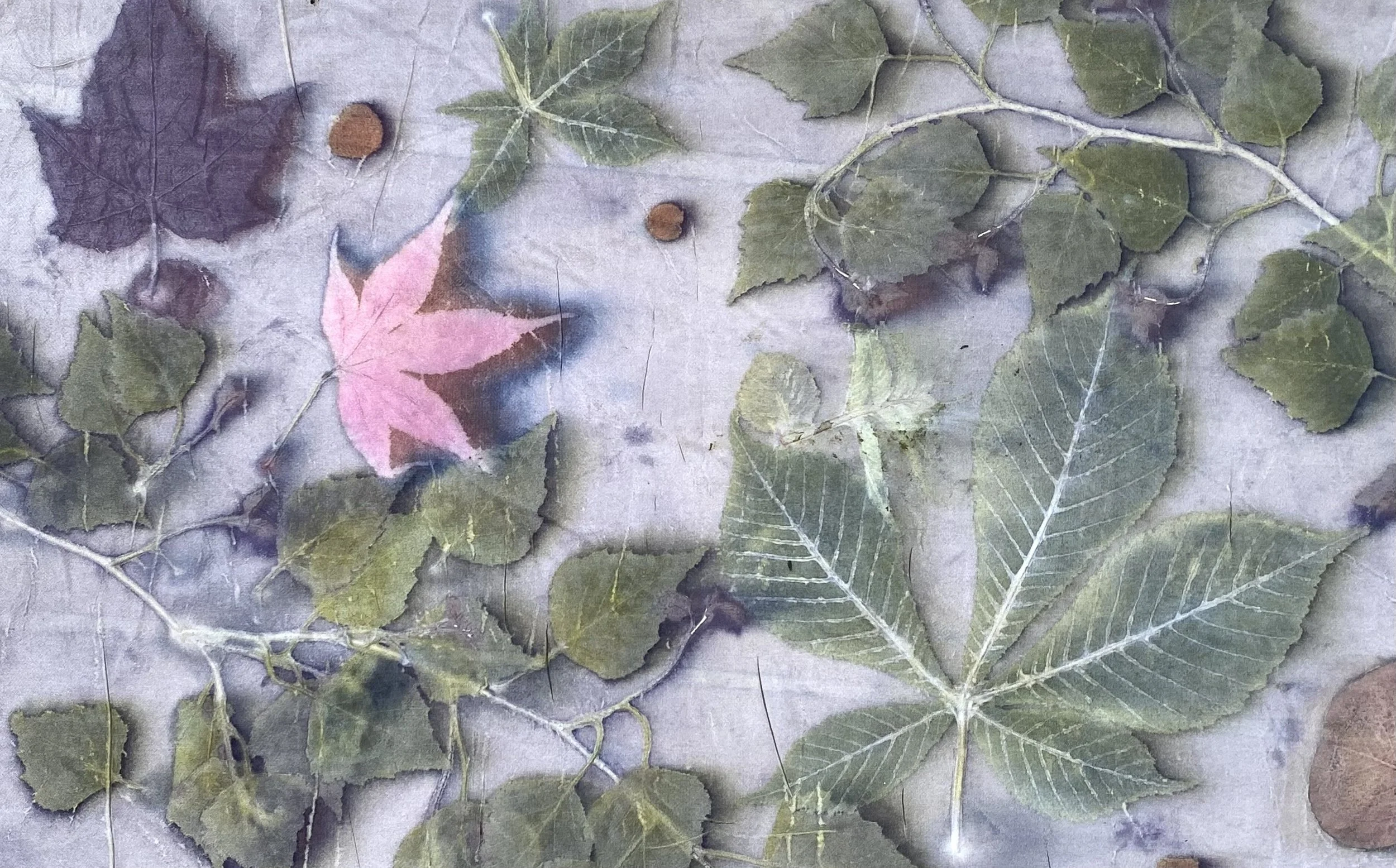leaf print.jpeg