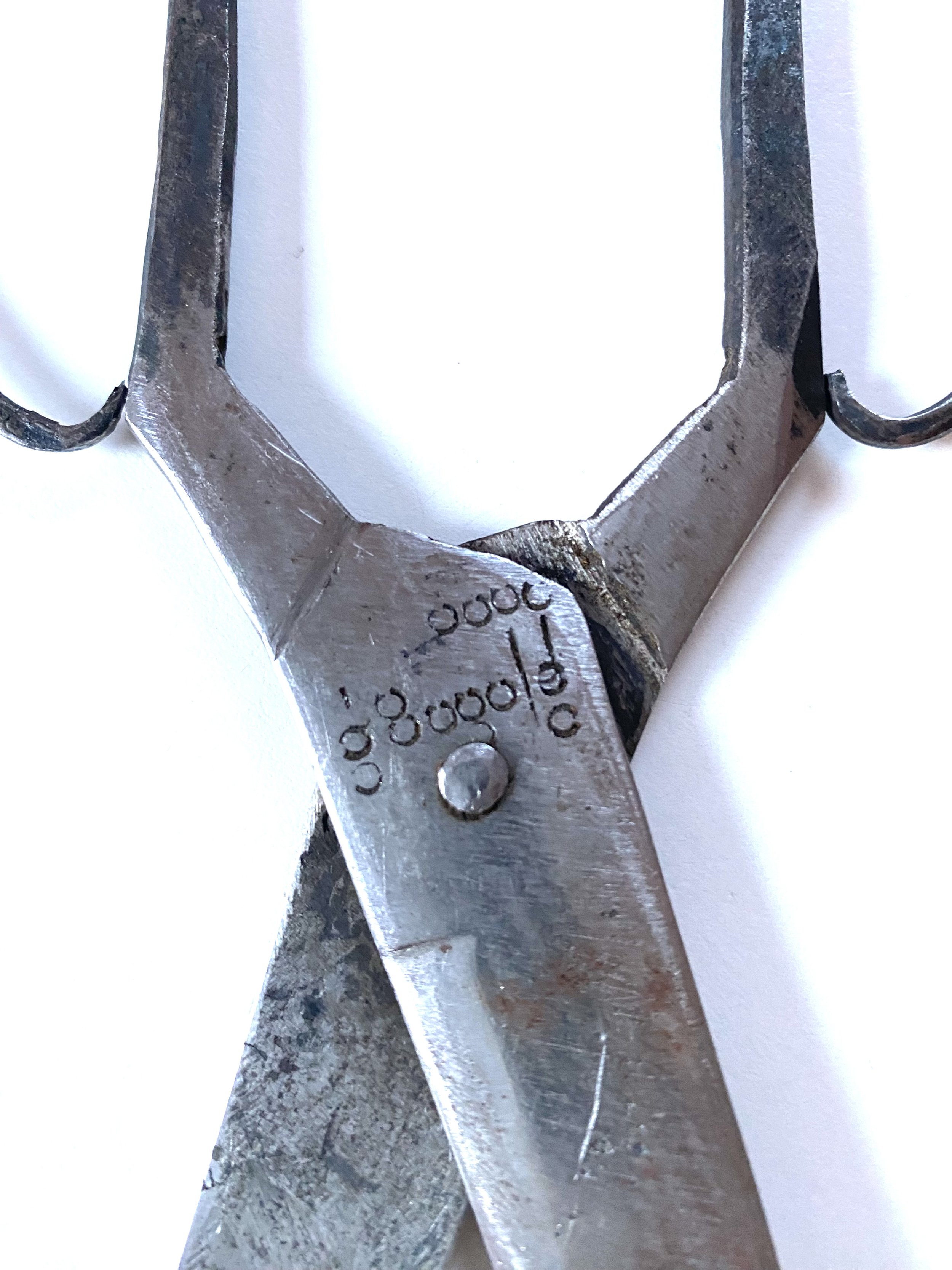 DETAIL scissors.jpeg