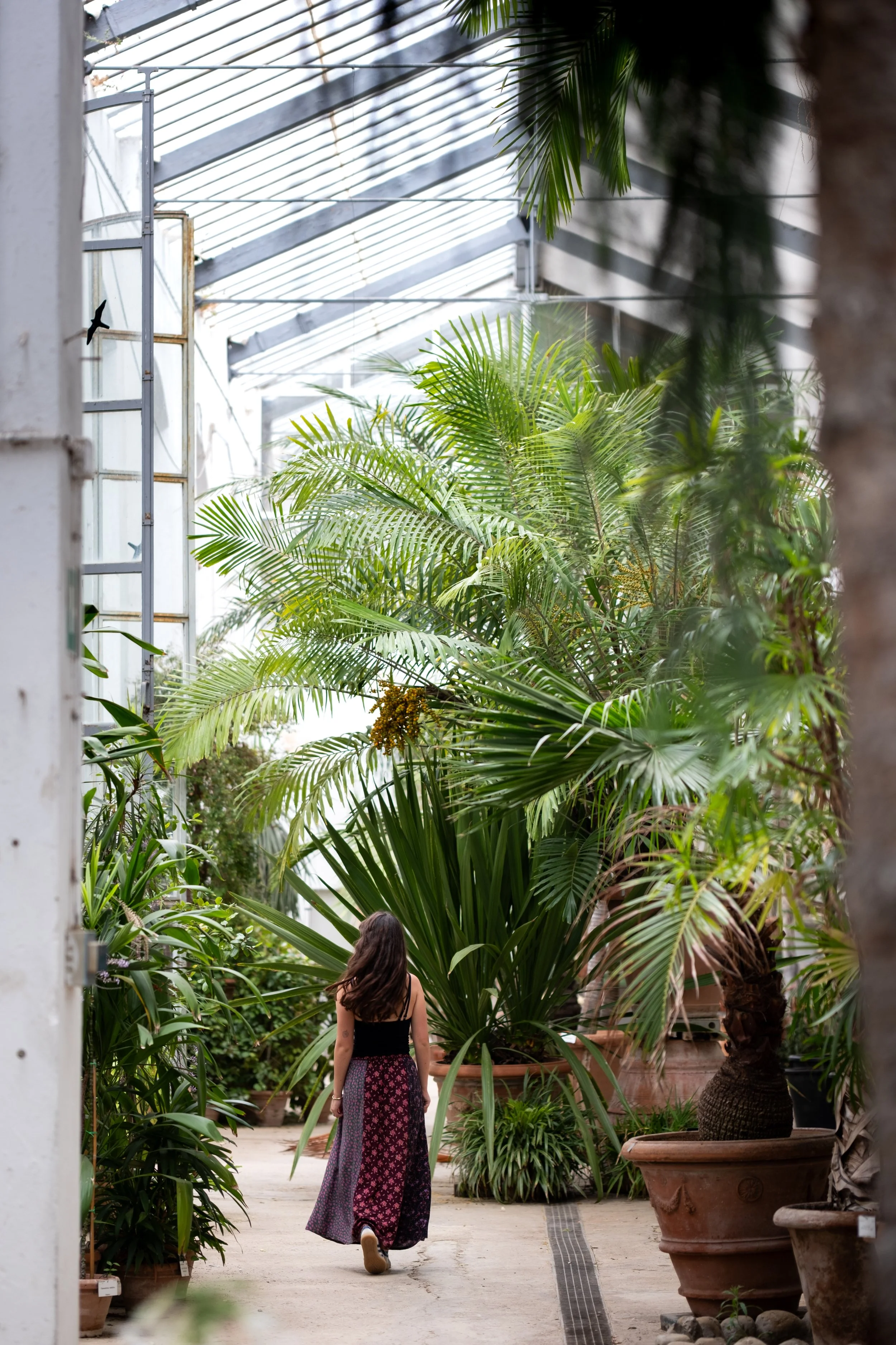 Peyton at Ortobotanico-05.jpg