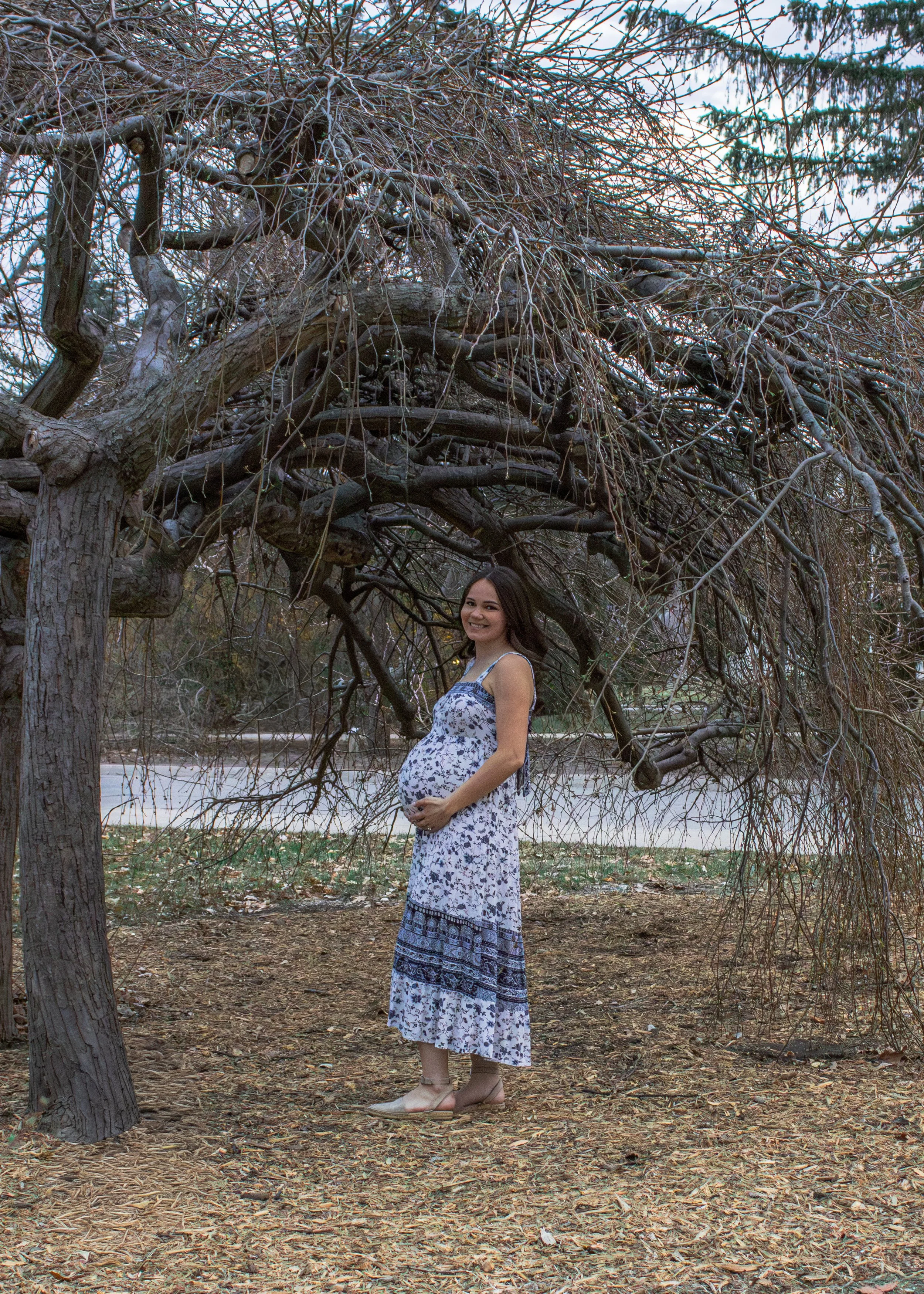 A pregnant woman in a floral dress and beige heels standing outdoors under a leafless, twisted tree.
