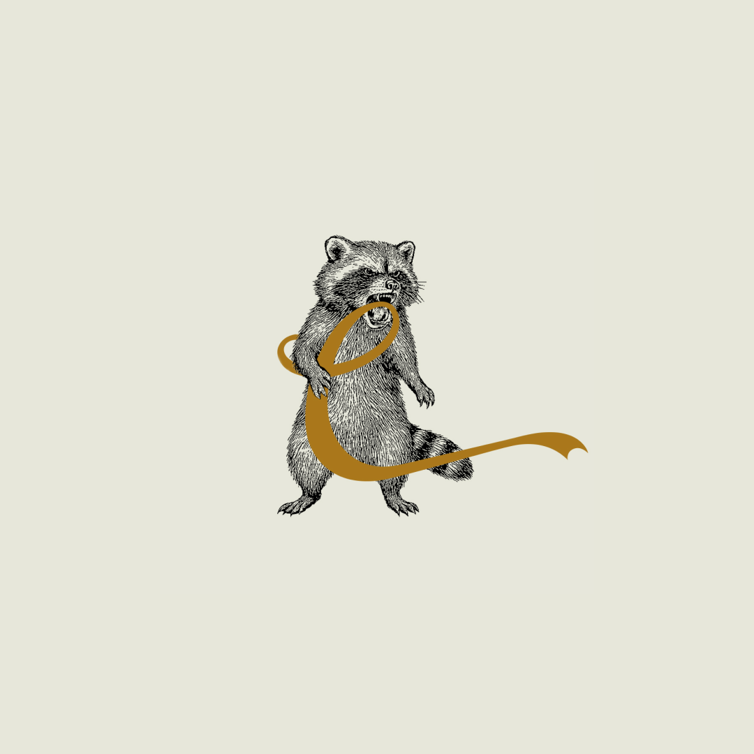 Illustration of a raccoon with an oversized gold letter 'C' in front of it