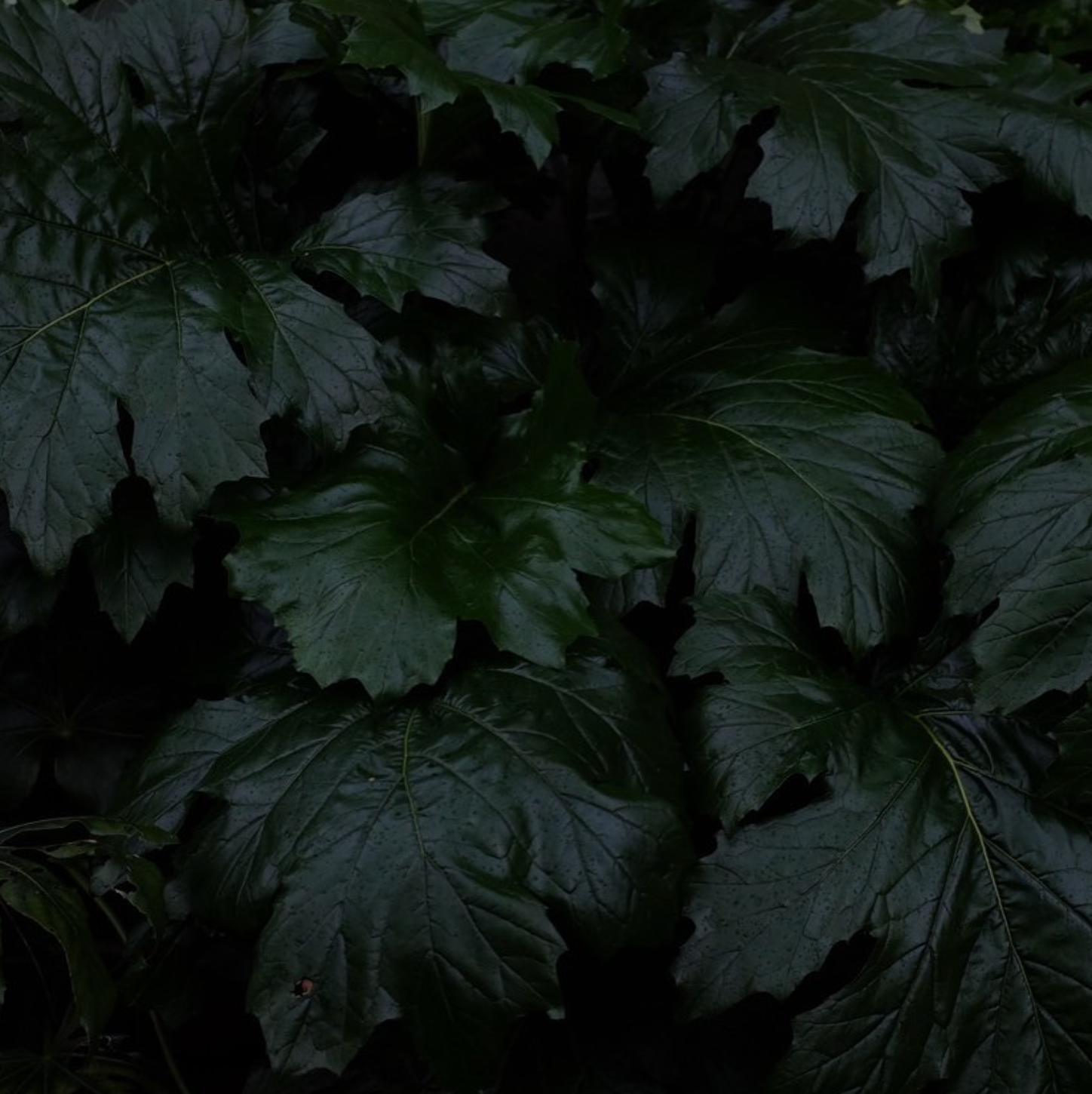 Screenshot+2026-07-02+at+13.21.40.png