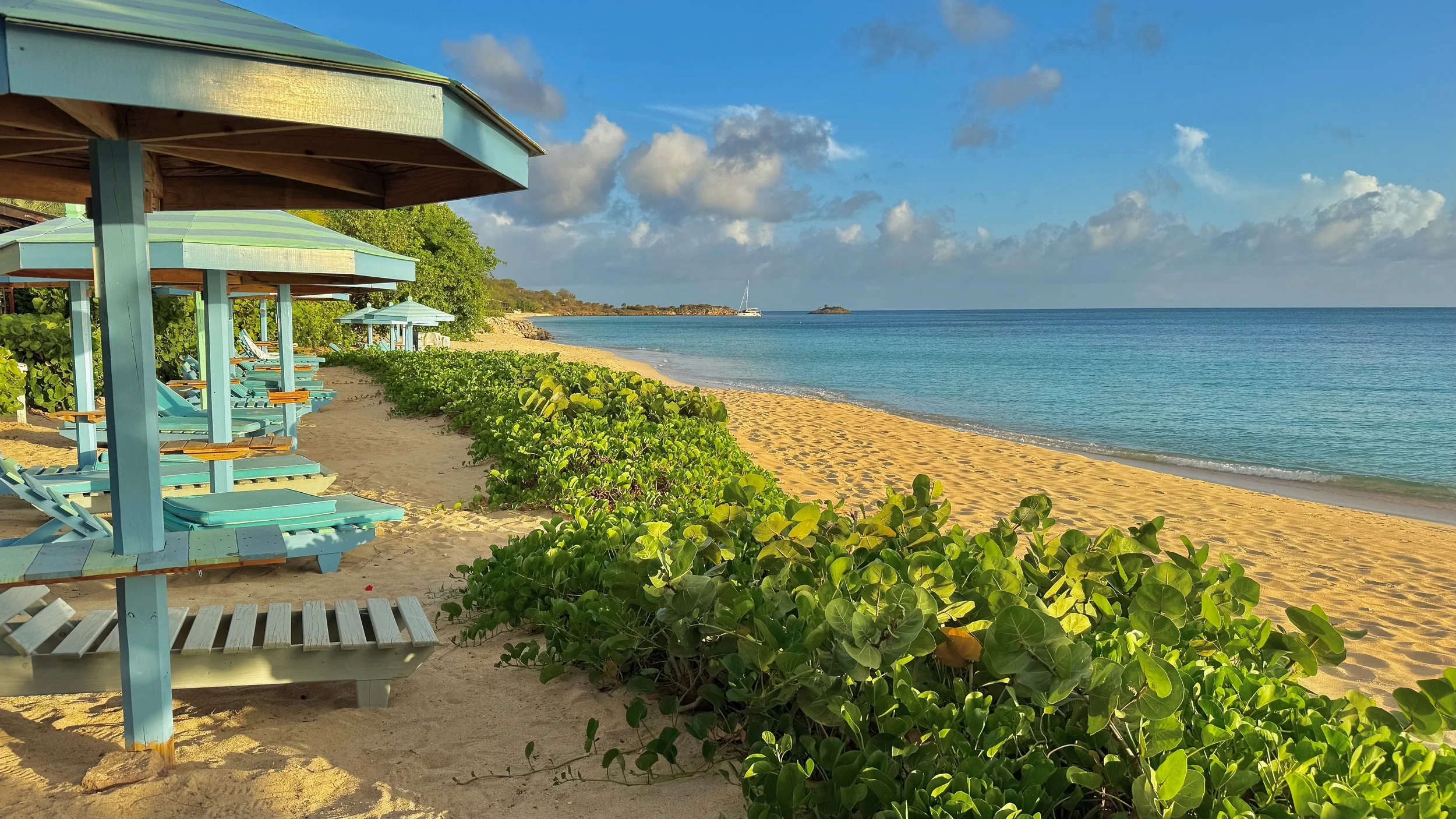 Beach scene with turquoise lounge chairs under umbrellas, green plants along the sandy shore, calm blue ocean, and cloudy sky.