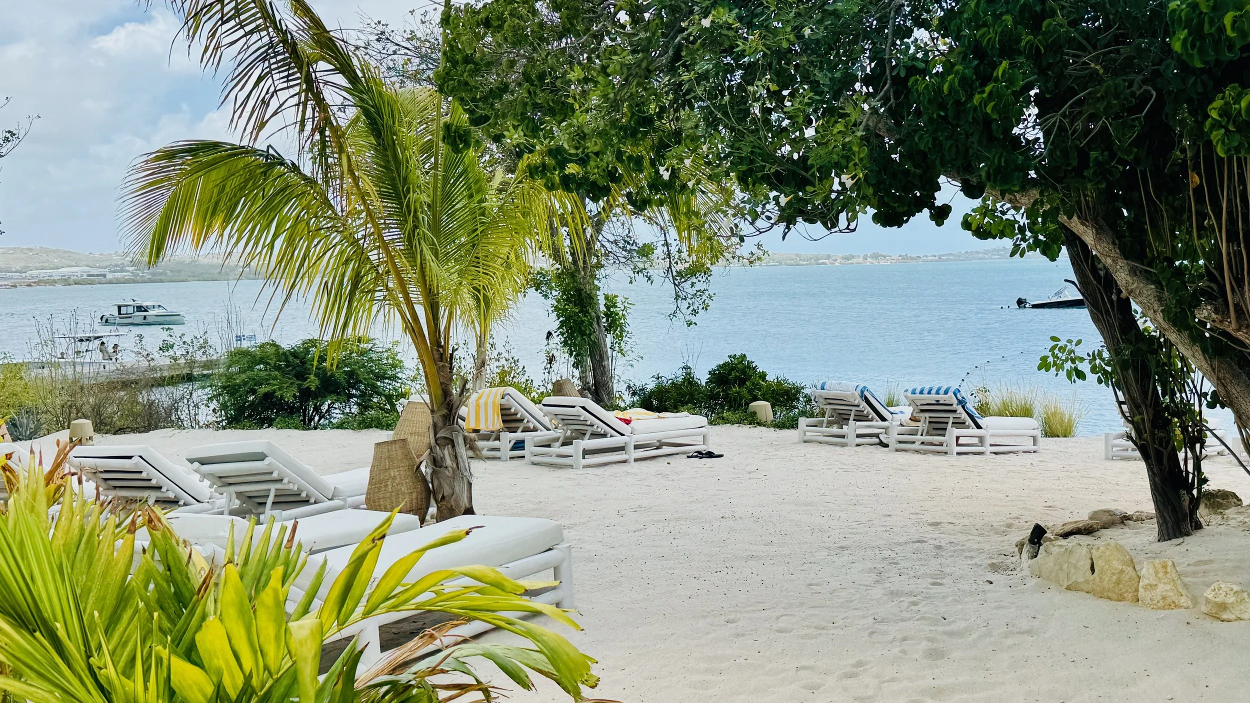 Beach scene with lounge chairs, palm trees, and water in the background