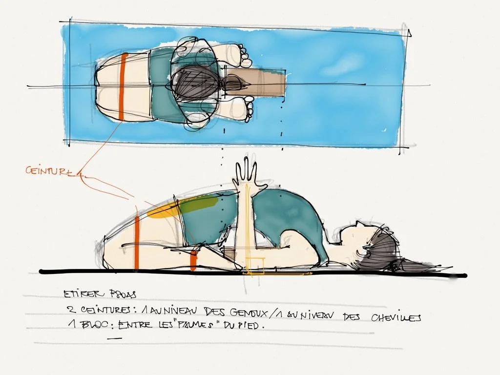 Le psoas, ce muscle qui porte tes émotions (et que tu ignores peut-être depuis trop longtemps)