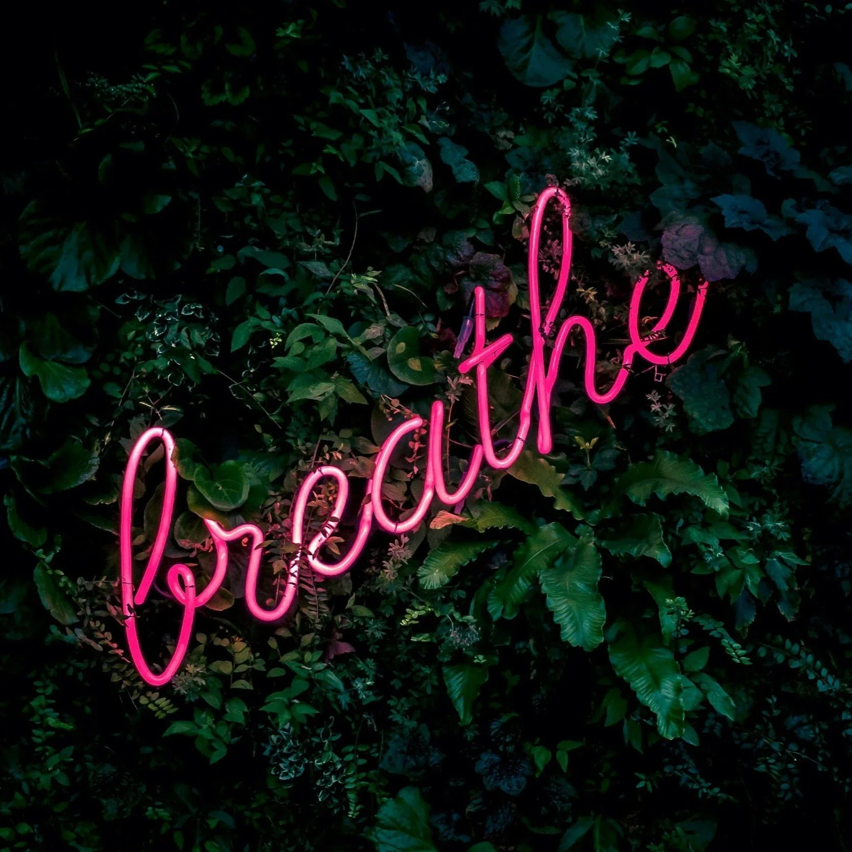 Pourquoi je me forme au breathwork (et pourquoi cette pratique m'appelle autant)