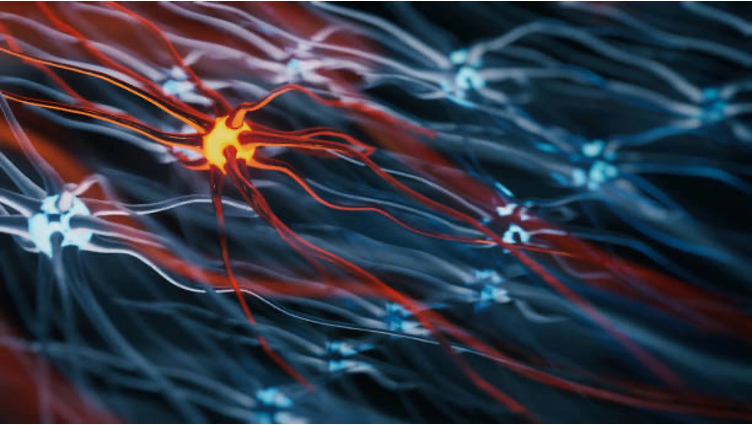 Why Leadership Change Is Harder Than We Think: A Neuroscience Perspective 
