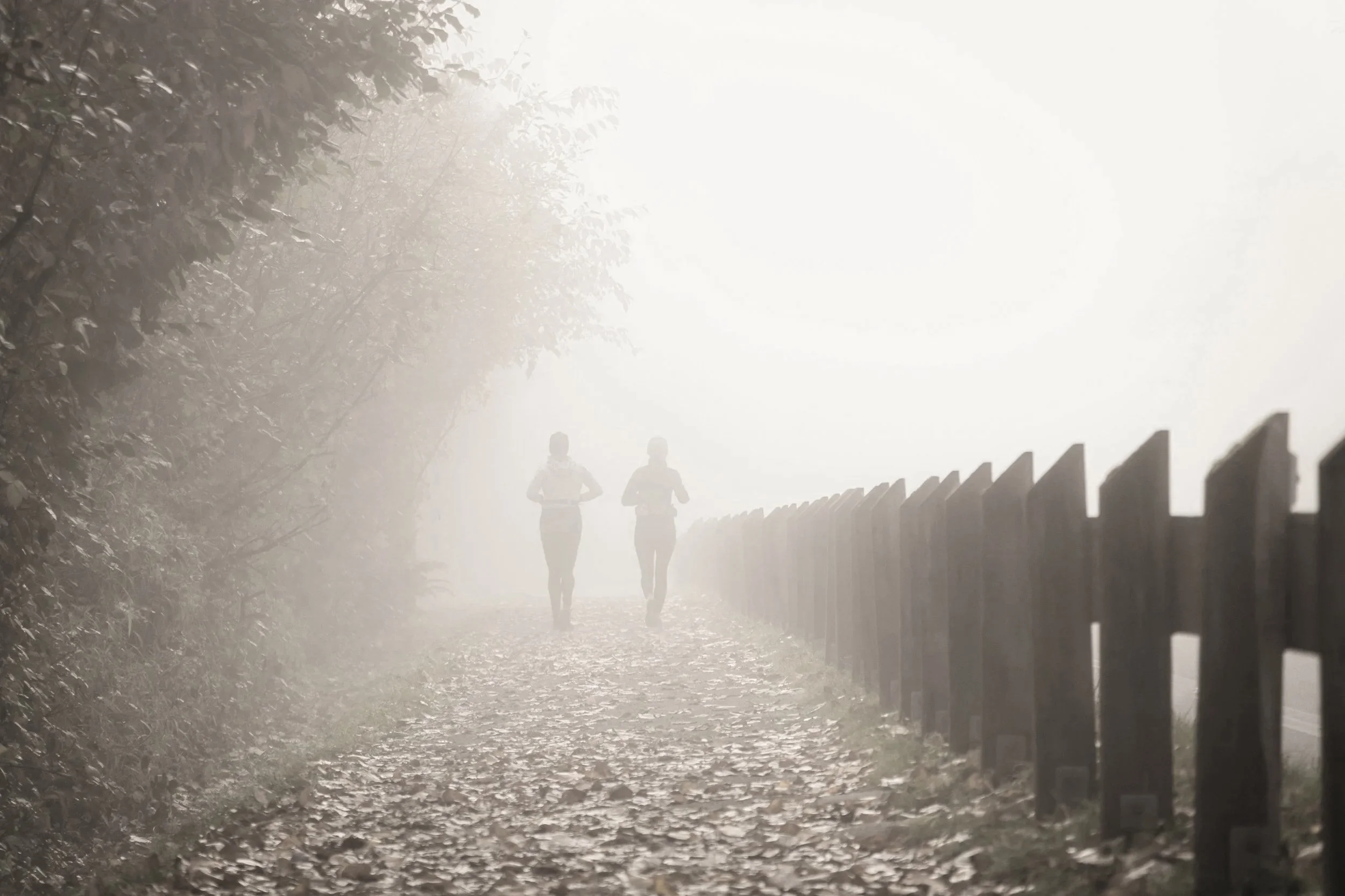 Two people running along a tree-lined path in foggy weather, with a wooden fence on the right side.