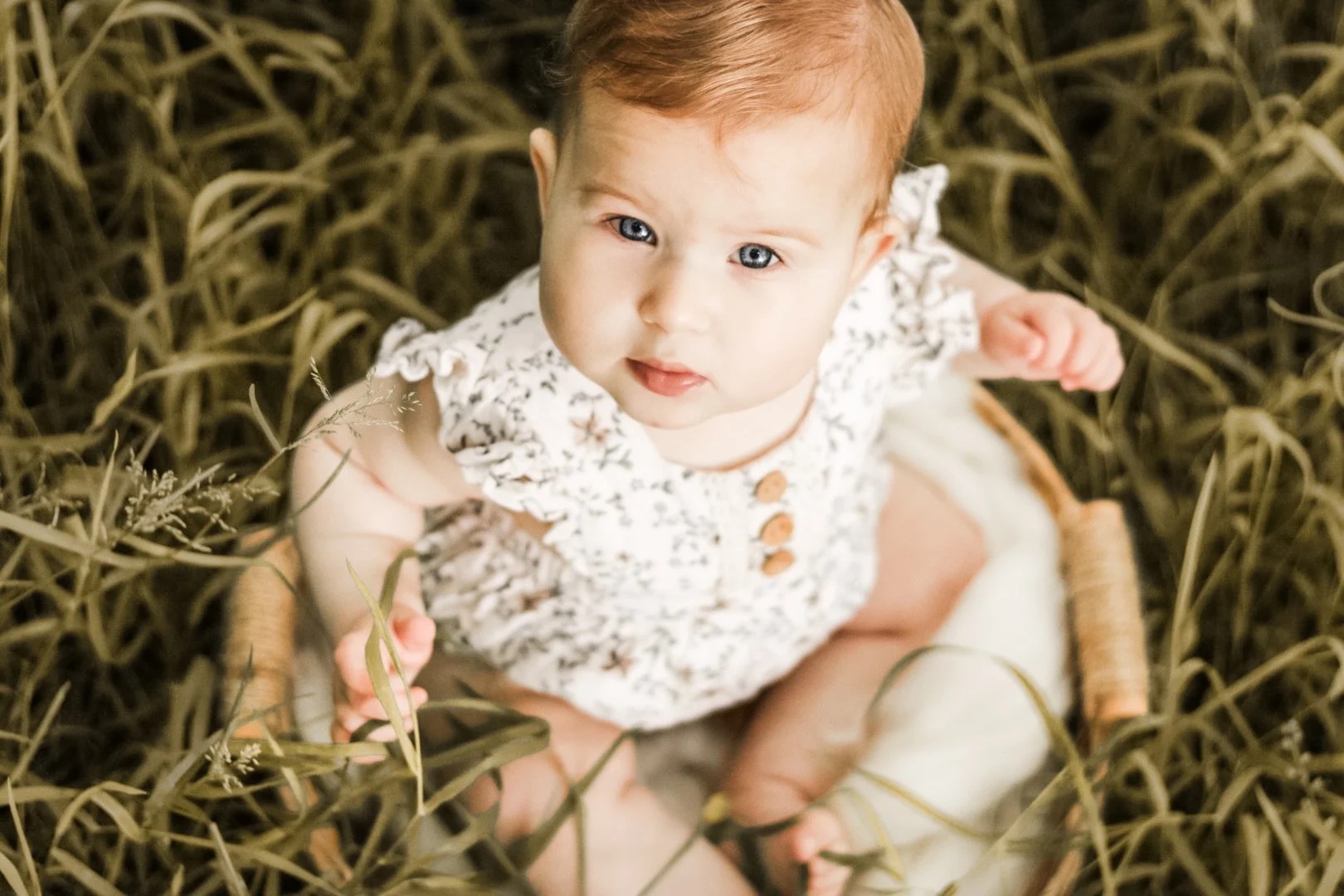 Baby with blue eyes looking up at the camera while sitting in grass during an outdoor baby photography session.