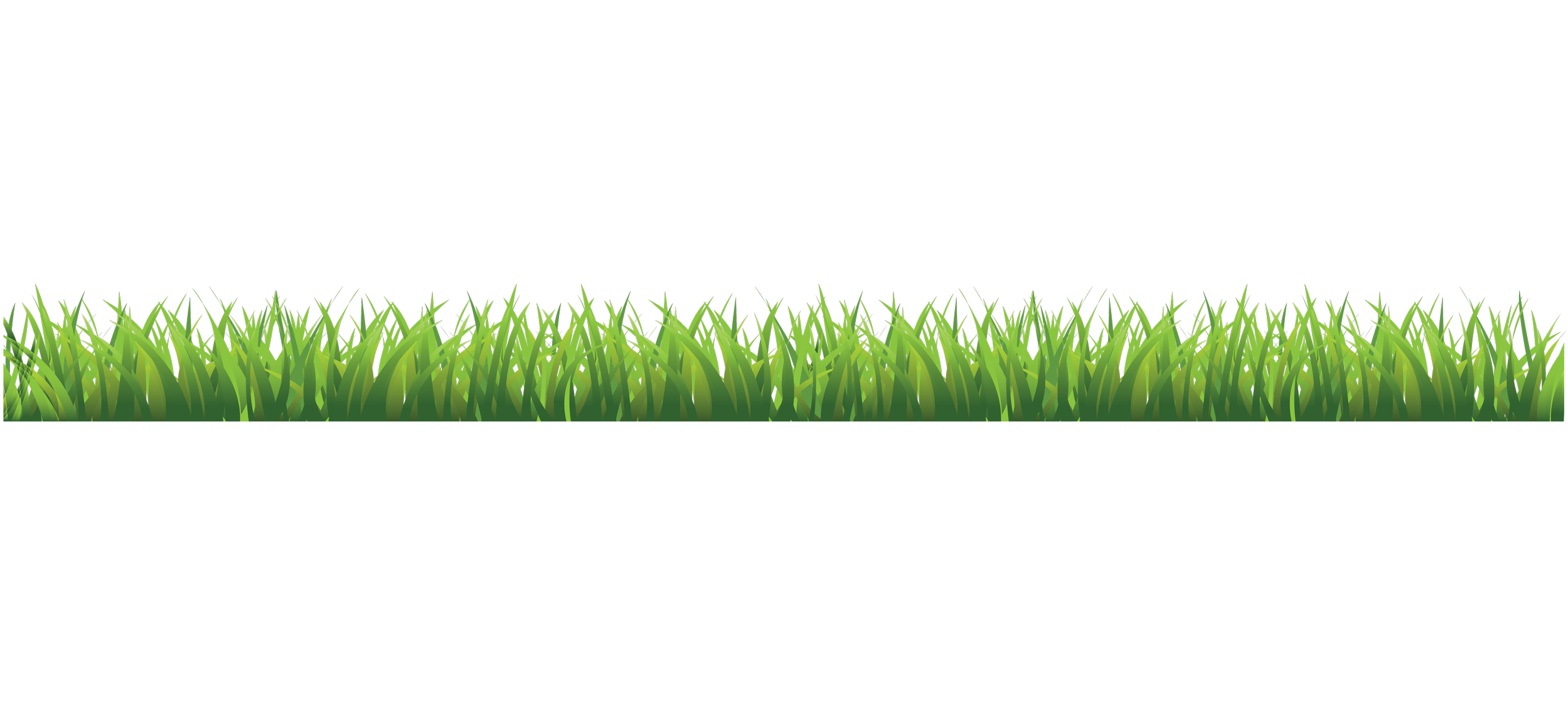 Illustration of green grass blades on a black background.