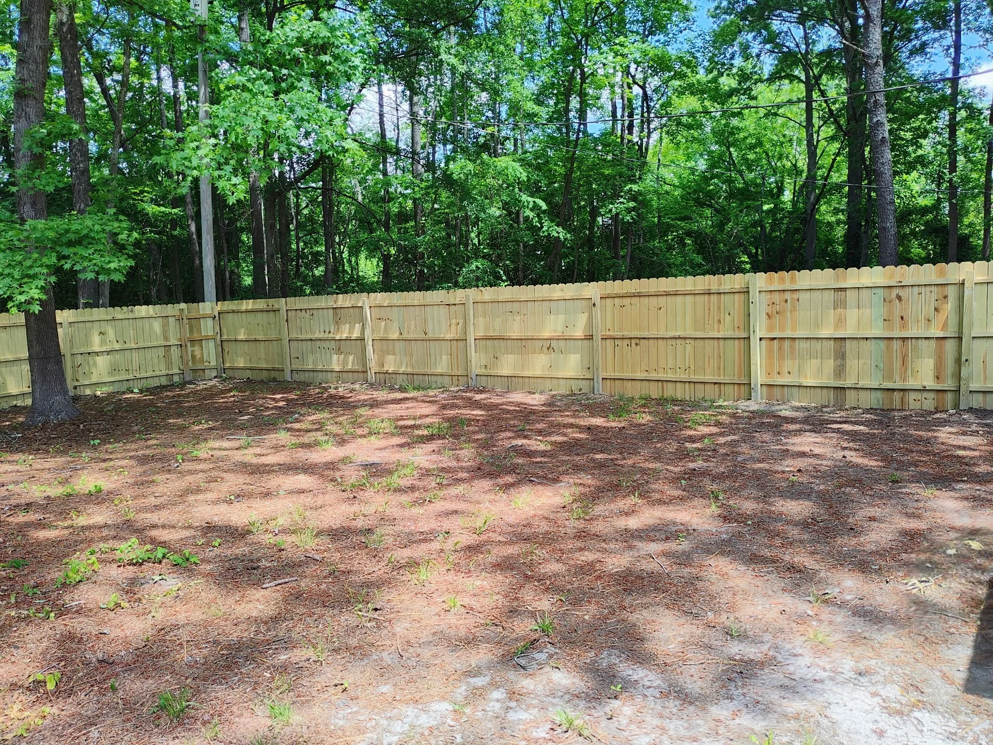 A backyard with a yellow wooden fence, a dirt ground with some green plants, and a dense forest with tall trees and lush green foliage in the background.