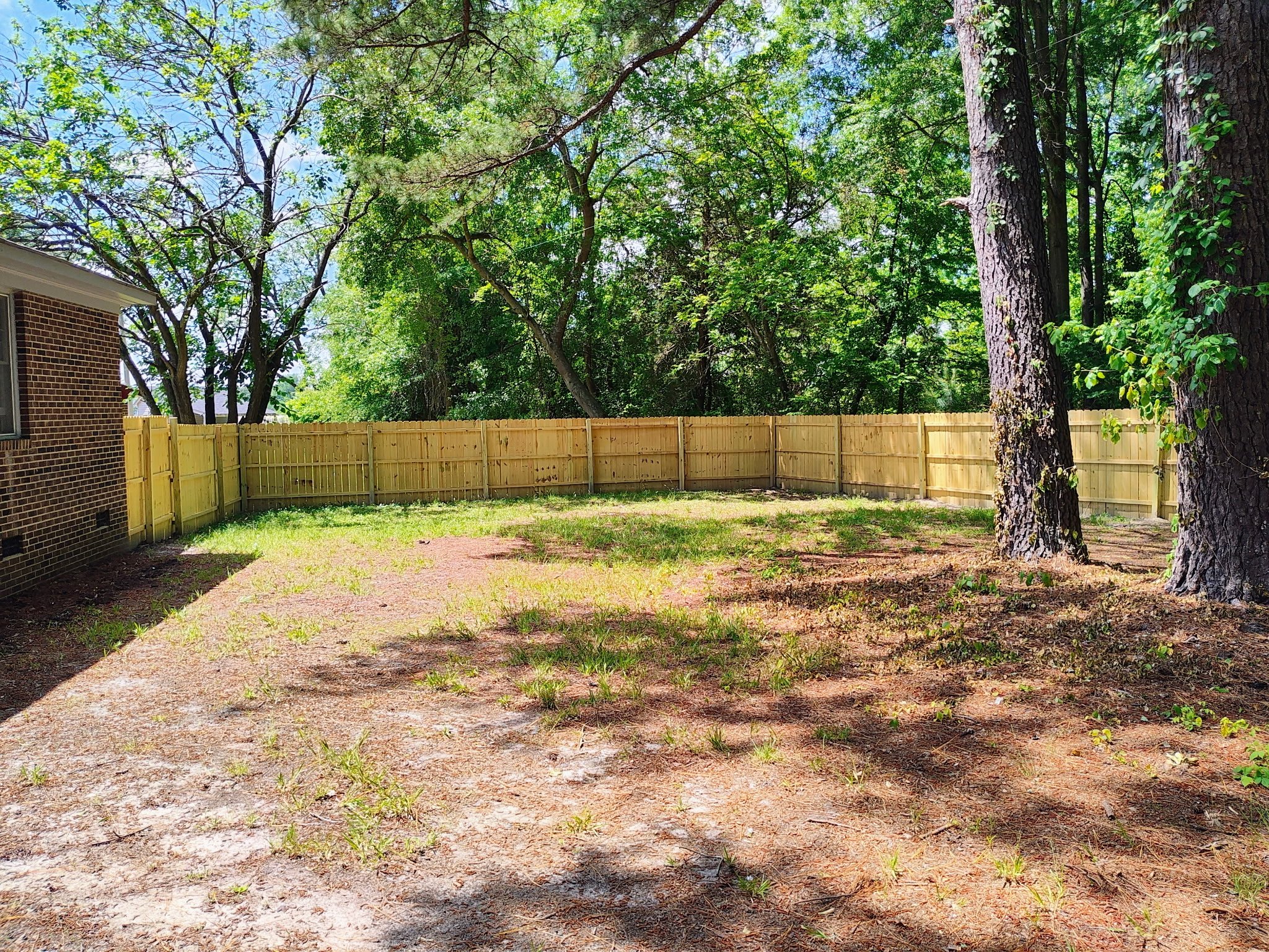 Backyard with grassy patch, a wooden fence, several trees, and part of a brick house visible on the left.