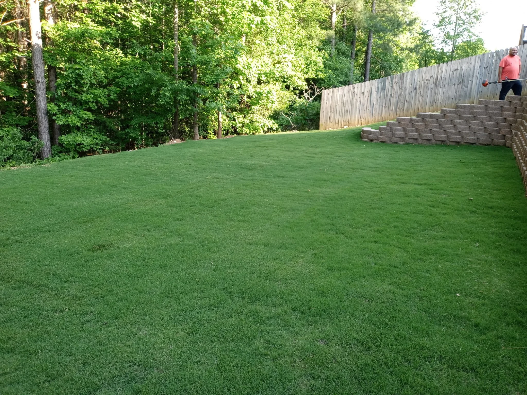 A man in a red shirt and dark pants is standing on outdoor steps next to a tall wooden fence, holding a string trimmer. Behind him is a wooded area with trees and green foliage. The foreground features a well-maintained, lush green grass lawn.