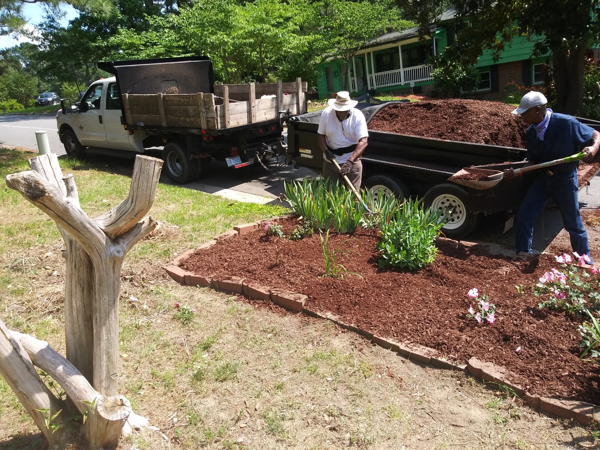 Two men working in a yard with a pickup truck and a trailer filled with soil, planting flowers near a green house with a porch.