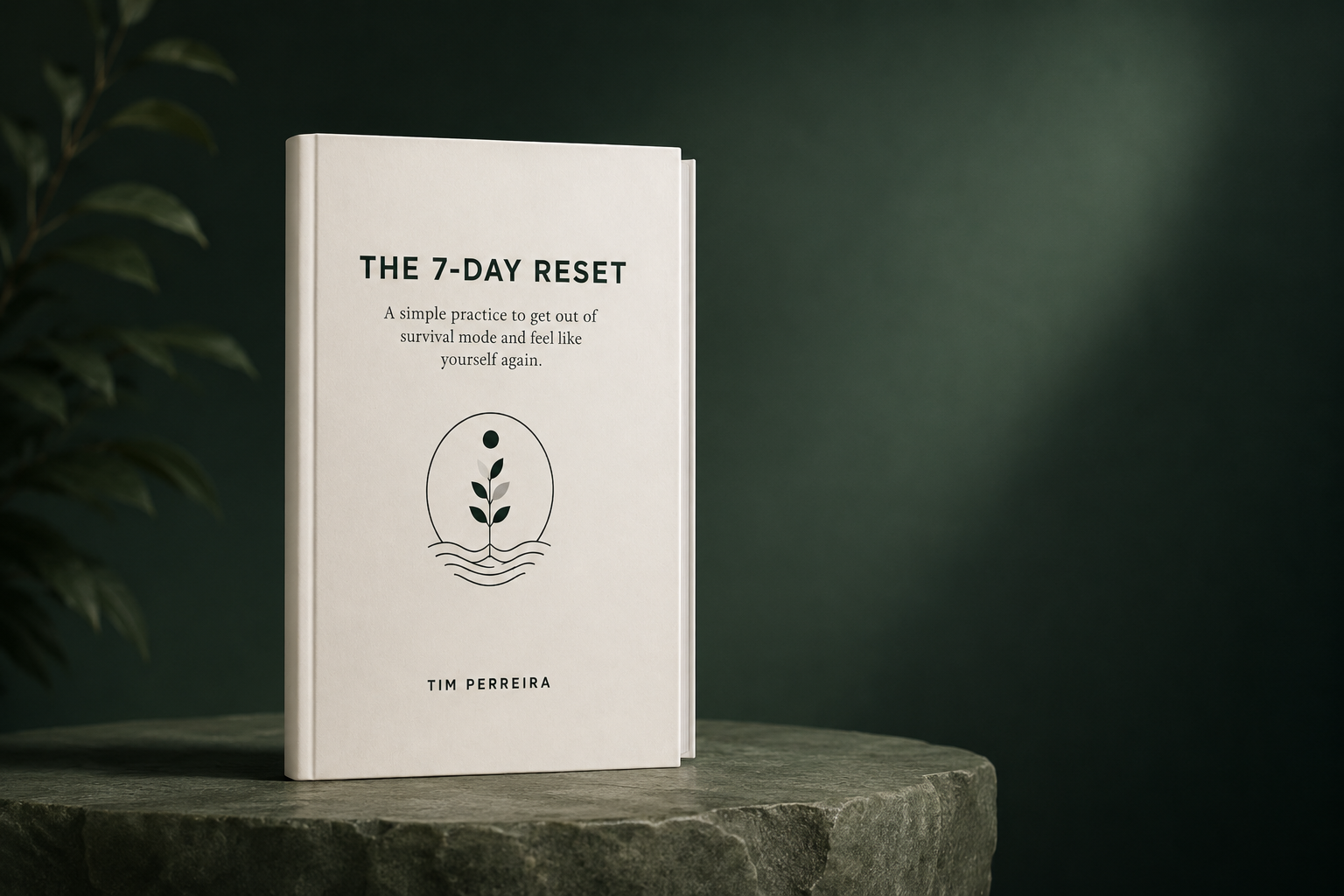 Book titled 'The 7-Day Reset' by Tim Pereira standing on a stone surface with a green background.