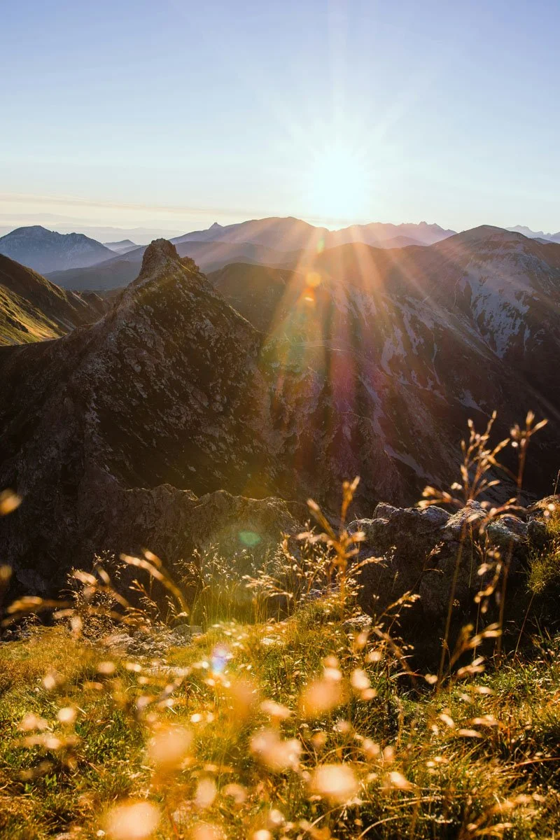 Sunset over mountain range with sun rays and foreground of wild grasses.
