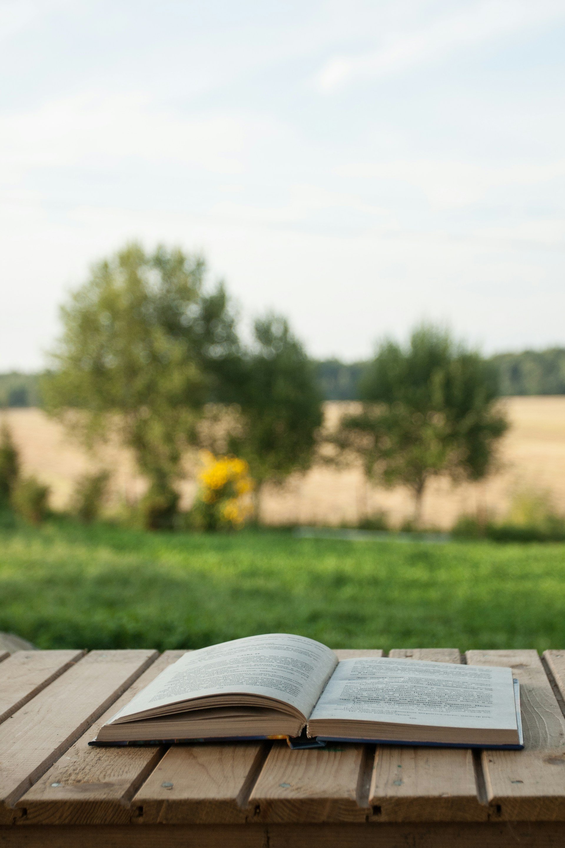 Open book lying on a wooden table outside with a grassy yard, trees, and a cloudy sky in the background.