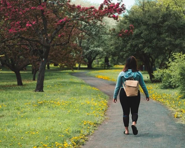 Person walking on a winding park trail surrounded by green trees and yellow flowers