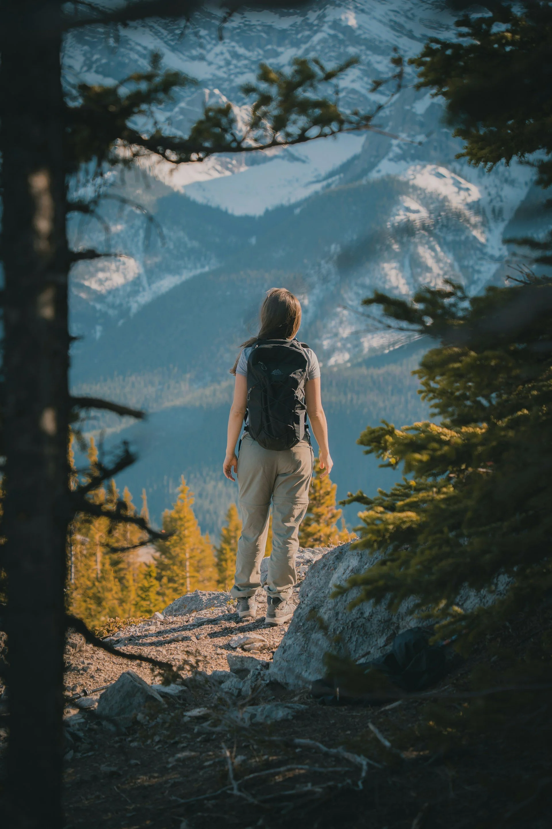 A person with a backpack standing on a rocky trail in a mountainous forest, facing away, surrounded by pine trees.