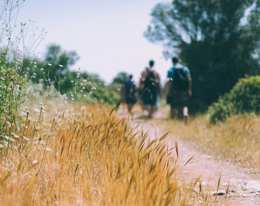 Three people with backpacks walking along a dirt trail through a natural landscape with green trees and grasses.