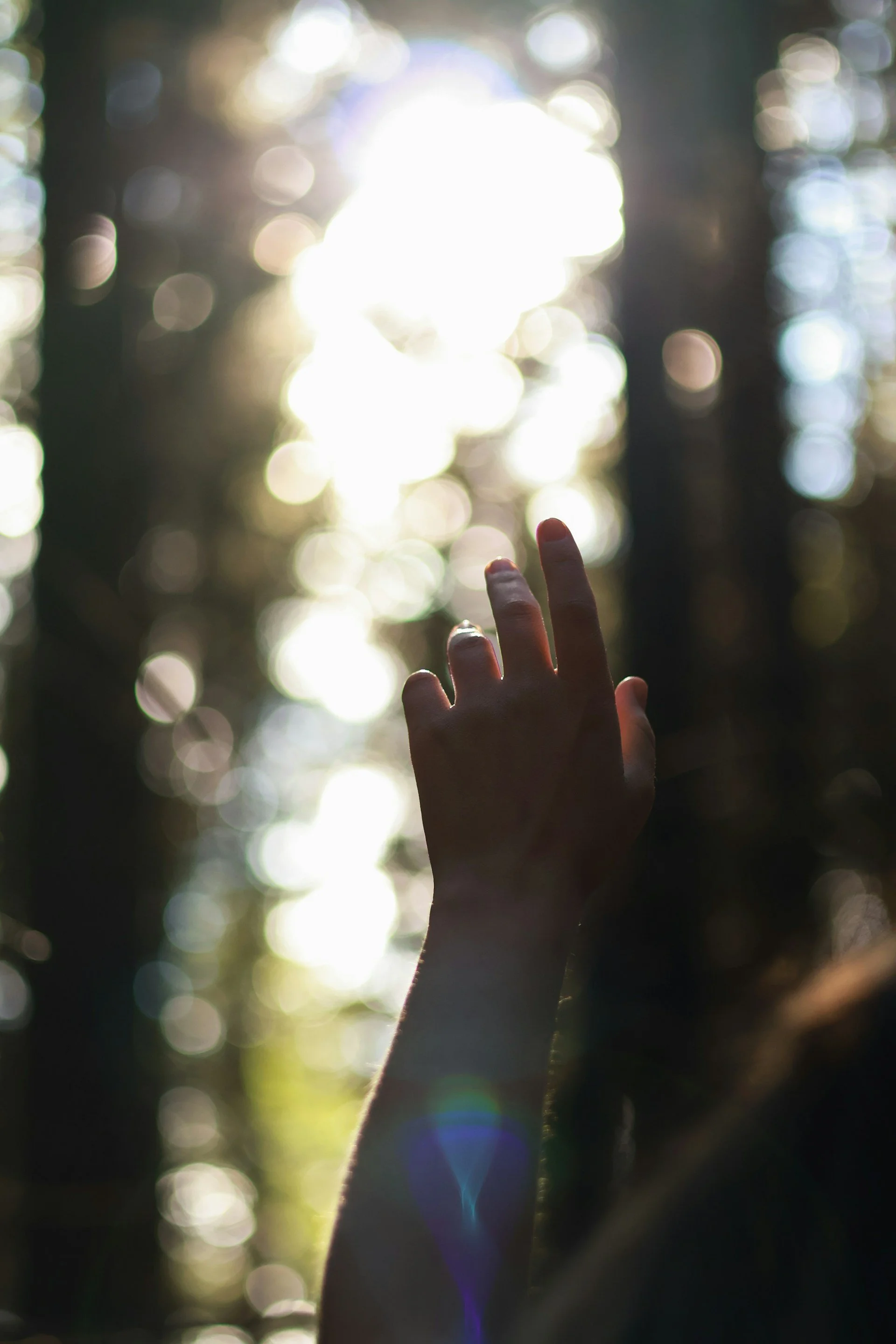 Hand reaching towards sunlight filtering through a forest, with bokeh light effects in the background.