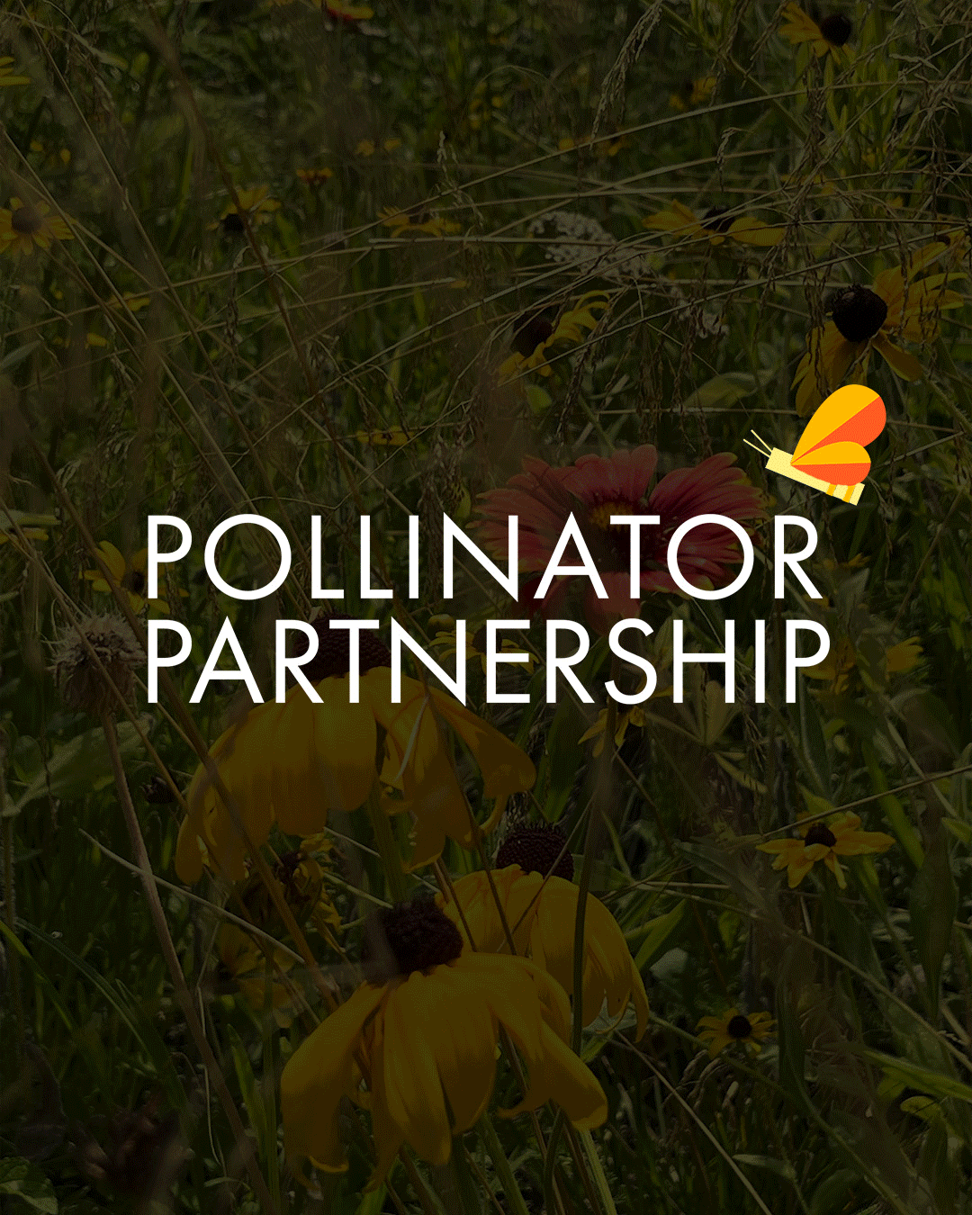 Pollinator Partnership