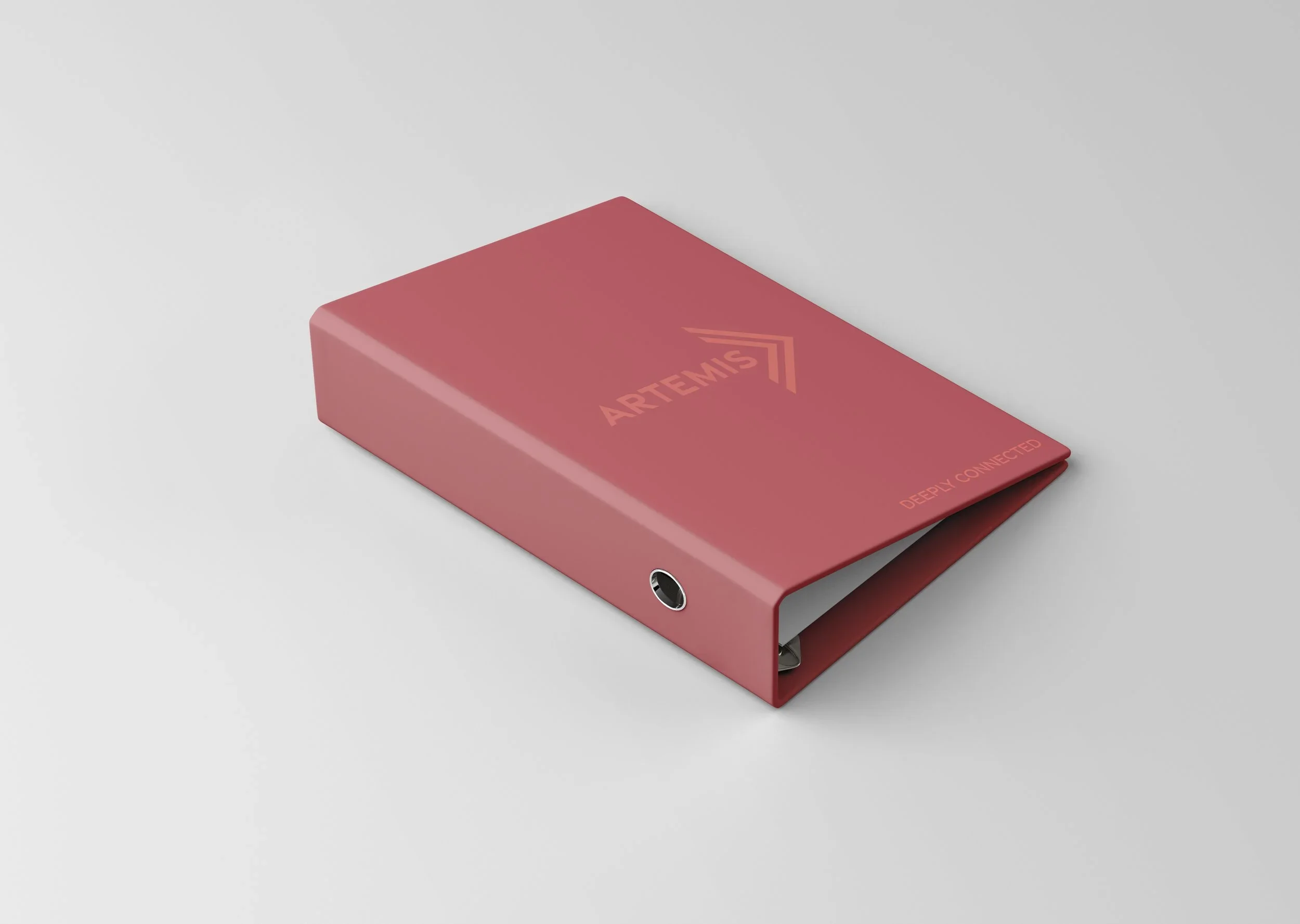 Binder+Mockup+2.jpg.webp