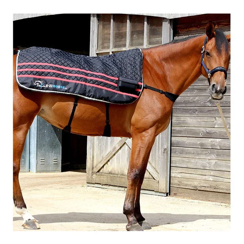 Ezihorse_Oct23-EZIBACK_PRO_2.webp