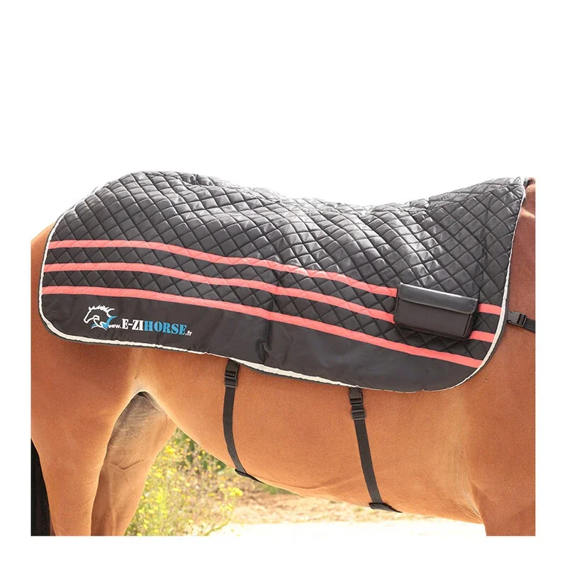 Ezihorse_Oct23-EZIBACK_PRO_1.webp