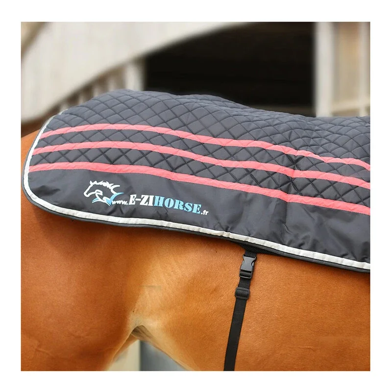 Ezihorse_Oct23-EZIBACK_PRO_3.webp