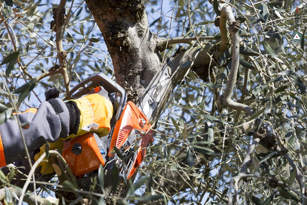 OLEOMAC_tronconneuse_GST250-01_12_1000x.webp