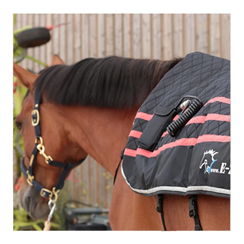 Ezihorse_Oct23-EZIBACK_PRO_8.webp
